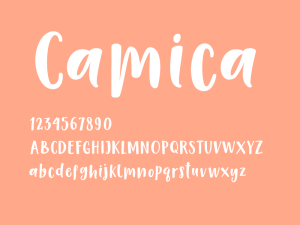 英文字体Camica