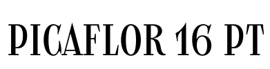 Picaflor 16 pt