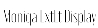 Moniqa ExtLt Display