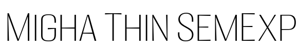 Migha Thin SemExp
