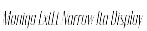Moniqa ExtLt Narrow Ita Display